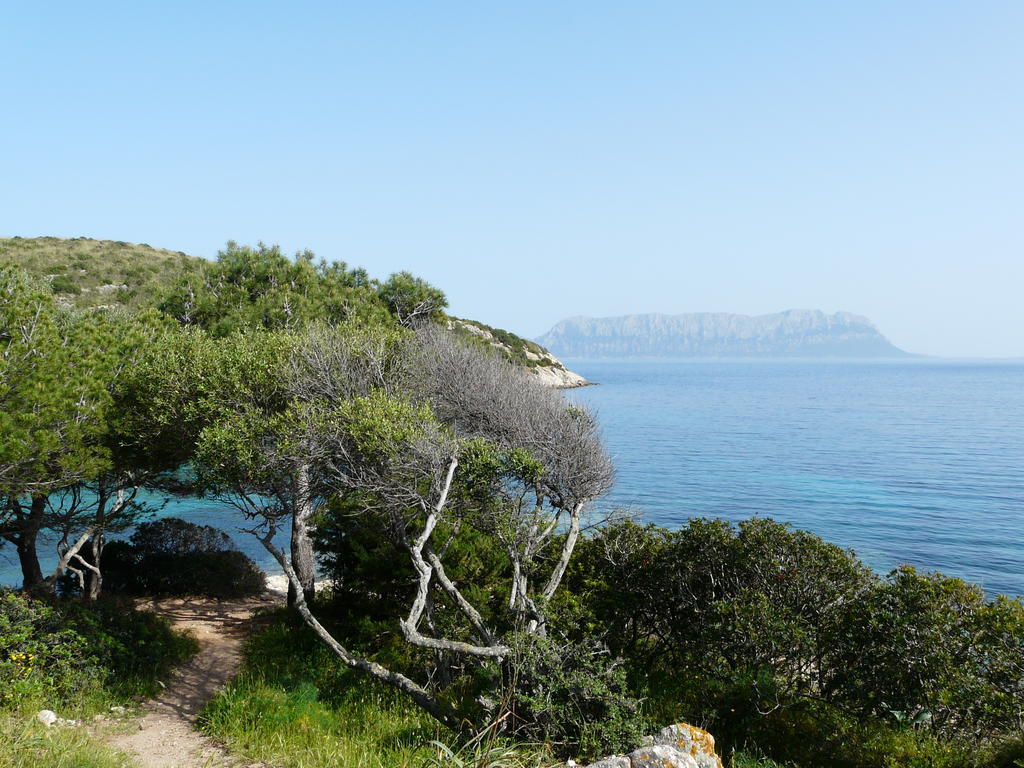 Il Laghetto